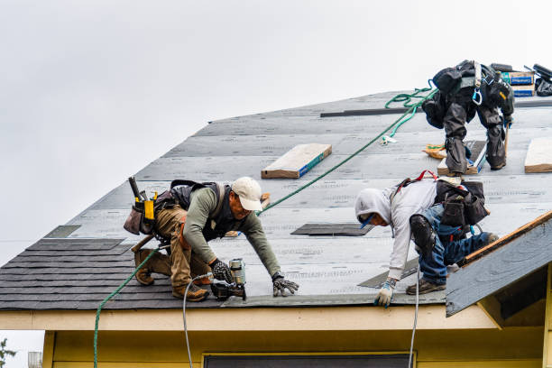 Professional Storm Damage Roof Repair technician working in Maggie Valley, NC
